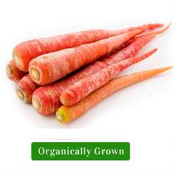Organic Carrot Red/Organic Gajar Lal